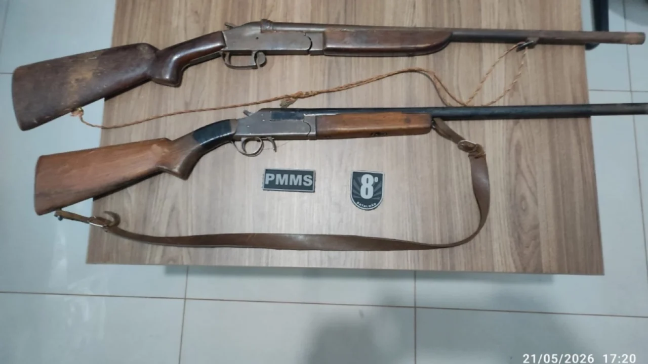 Espingardas calibre 12 foram encontradas escondidas em área de vegetação na regi
