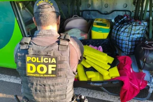 Droga apreendida — Foto: Droga apreendida - Foto: DOF/Divulgação