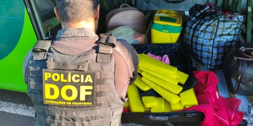 Droga apreendida — Foto: Droga apreendida - Foto: DOF/Divulgação