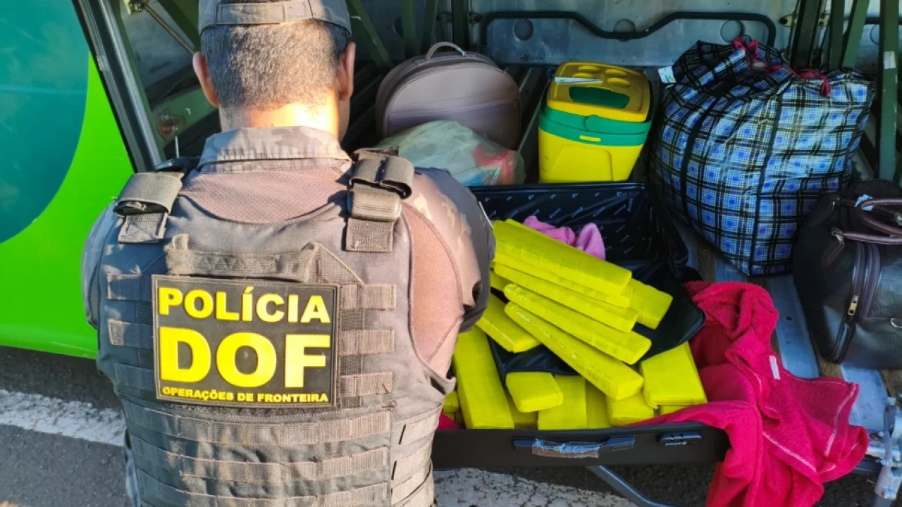 Droga apreendida — Foto: Droga apreendida - Foto: DOF/Divulgação