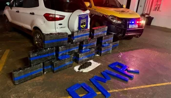 Droga foi apreendida pela PMR durante fiscalização na MS-141, em Ivinhema - Foto