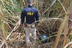 Droga apreendida — Foto: Droga apreendida - Foto: PRF/Divulgação