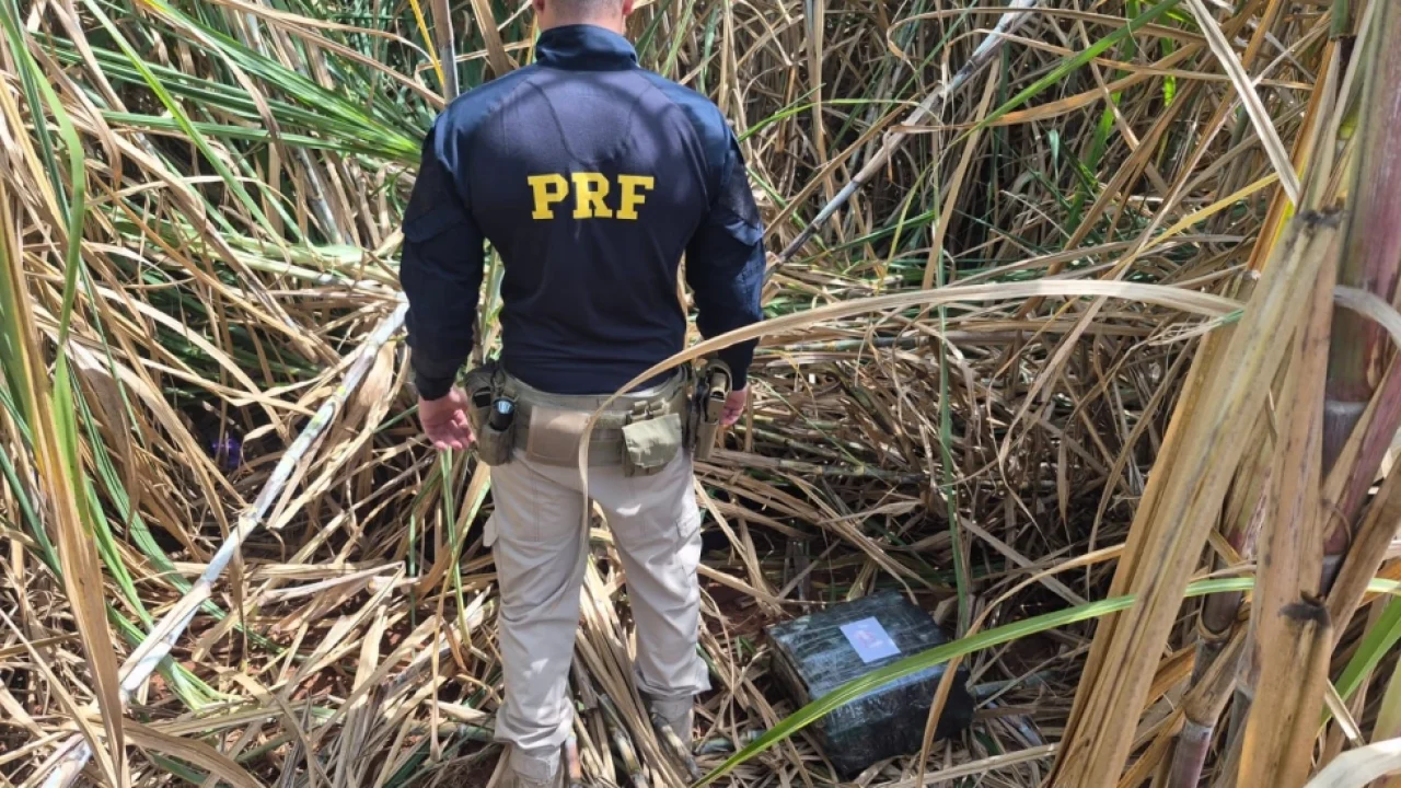 Droga apreendida — Foto: Droga apreendida - Foto: PRF/Divulgação