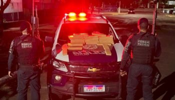 9dce04ceb6131fd88d8c3d7ec2c87663_1