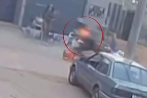 Foto: Polícia Civil de Ribas do Rio Pardo. (Foto: Divulgação, PCMS)