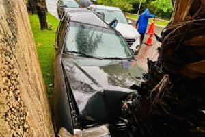 Veículo foi lançado contra coqueiro. (Foto: Marcos Erminio, Midiamax)
