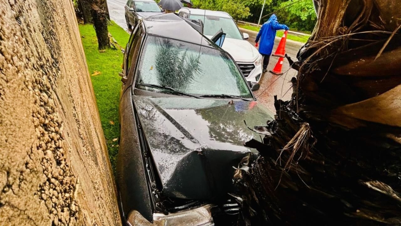 Veículo foi lançado contra coqueiro. (Foto: Marcos Erminio, Midiamax)