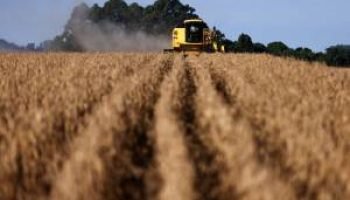 Pedidos de recuperação judicial no agro disparam 147%