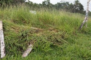 Foto: Acidente aconteceu no cruzamento entre as avenidas Euler e Tamandaré. (Fot