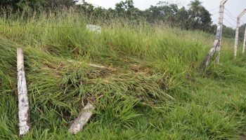 Foto: Acidente aconteceu no cruzamento entre as avenidas Euler e Tamandaré. (Fot