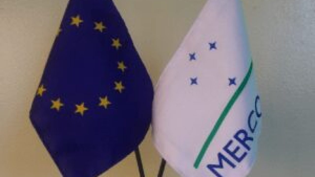 Parlamento Europeu Aprova Salvaguardas Agrícolas Mais Rígidas para Acordo Mercosul-UE