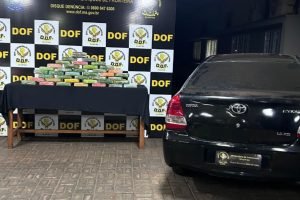 Foto: Droga apreendida. (Foto: Divulgação, DOF)