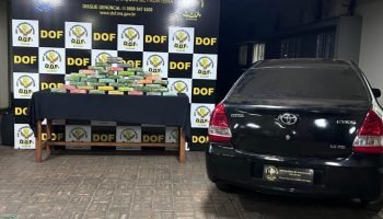 Foto: Droga apreendida. (Foto: Divulgação, DOF)