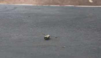 Foto: Ilustrativa (Pietra Dorneles, Midiamax)