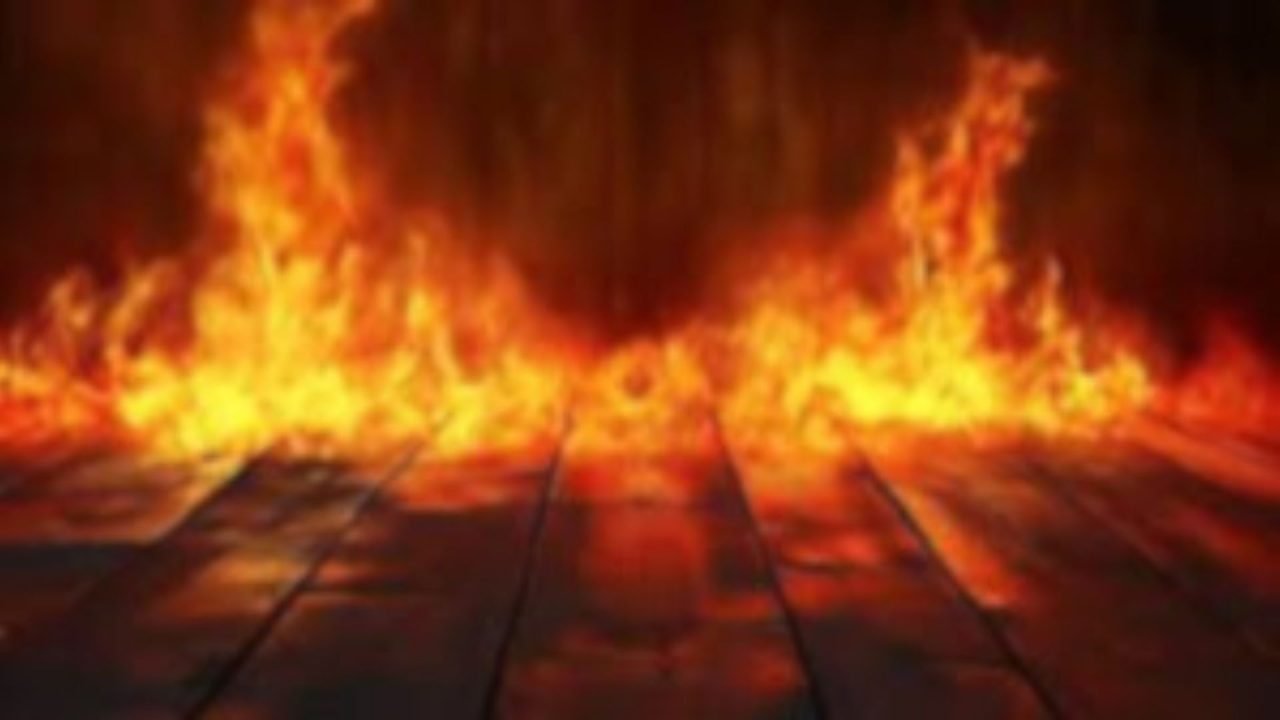 Foto: Imagem ilustrativa. (Reprodução: Freepik)