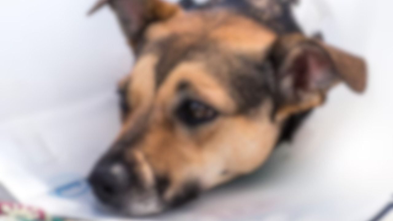 Foto: Imagem ilustrativa. (Reprodução, Freepik)