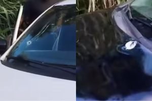 Veículos foram alvejados na tarde de sábado. — Foto: Veículos foram alvejados na