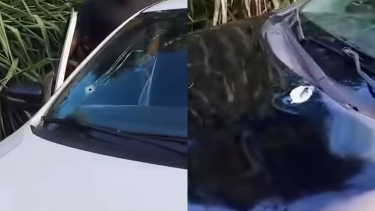 Veículos foram alvejados na tarde de sábado. — Foto: Veículos foram alvejados na