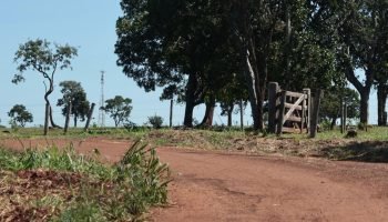 Foto: Crime aconteceu em uma comunidade na área rural de Campo Grande. (Foto: Ma