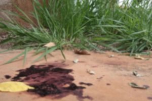 Vestígios de sangue no local. — Foto: Vestígios de sangue no local. (Foto: Madu