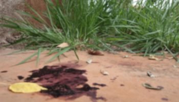 Vestígios de sangue no local. — Foto: Vestígios de sangue no local. (Foto: Madu