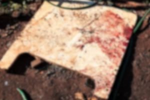 Vestígios de sangue no barraco onde as vítimas foram assassinadas. — Foto: Vestí