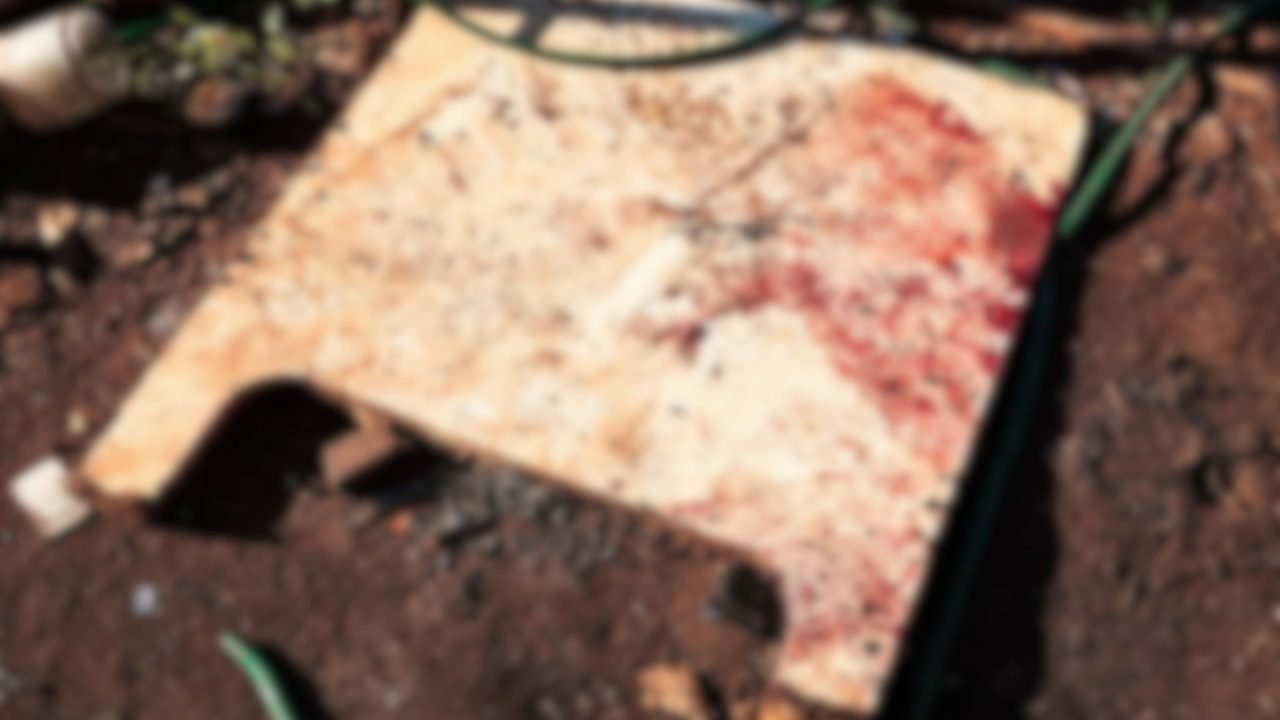 Vestígios de sangue no barraco onde as vítimas foram assassinadas. — Foto: Vestí