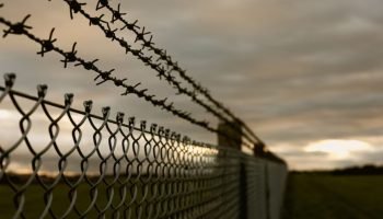 Imagem ilustrativa. (Reprodução, Freepik) — Foto: Imagem ilustrativa. (Reproduçã