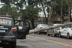 Foto: (Reprodução: Passeando em Campo Grande)