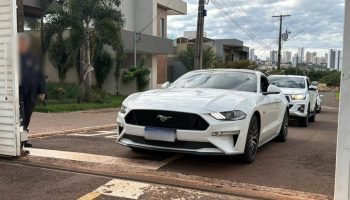 Mustang sendo levado pela PF. (Foto: Madu Livramento, Jornal Midiamax)