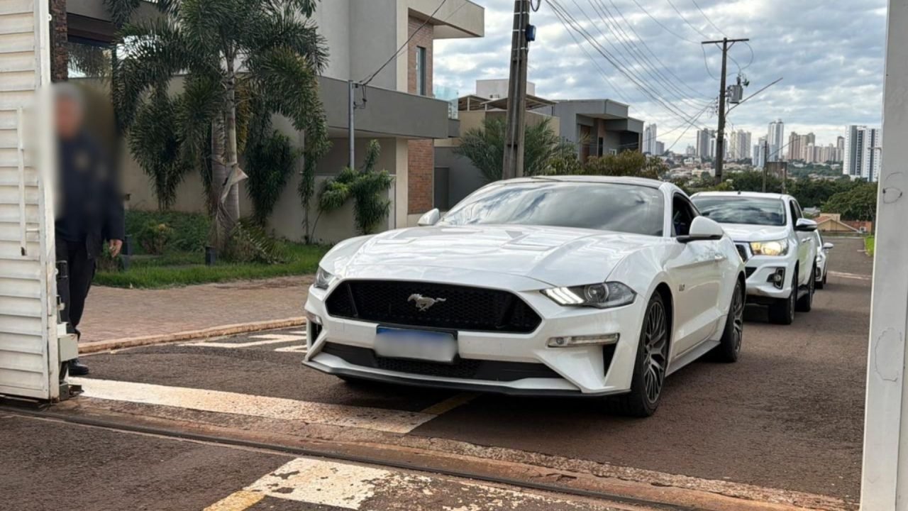 Mustang sendo levado pela PF. (Foto: Madu Livramento, Jornal Midiamax)