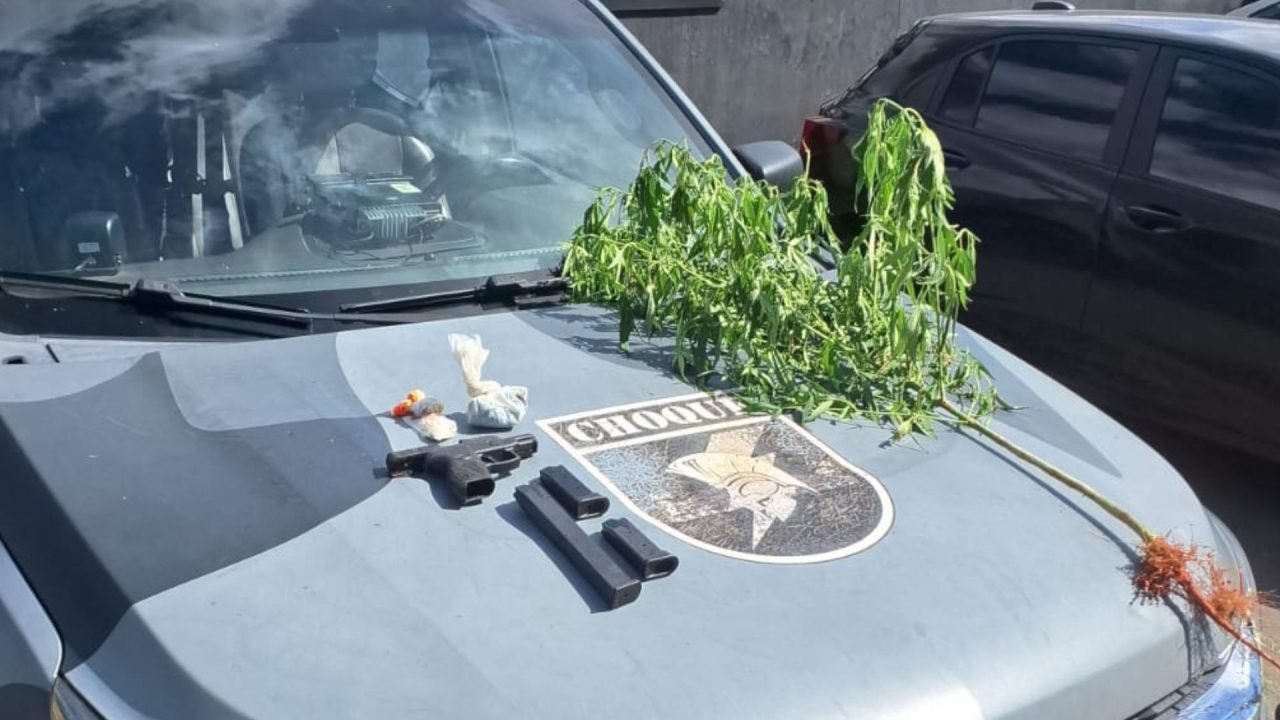 Pistola, entorpecentes e pé de maconha foram encontrados no local. — Foto: Pisto