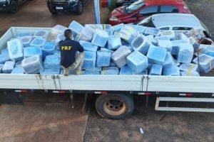 O entorpecente estava escondido na carga de sementes de girassol. — Foto: O ento