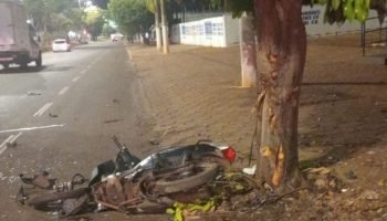Motociclista morre em colisão com árvore. — Foto: Motociclista morre em colisão