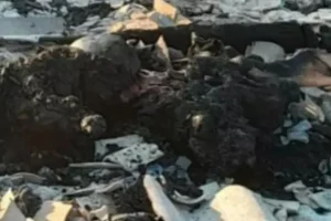 Destroços da casa incendiada — Foto: Destroços da casa incendiada - Foto: Reprod