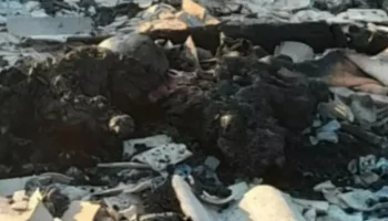 Destroços da casa incendiada — Foto: Destroços da casa incendiada - Foto: Reprod