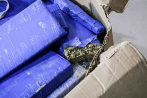 Imagem Ilustrativa. — Foto: Imagem Ilustrativa. (Henrique Arakaki, Jornal Midiam