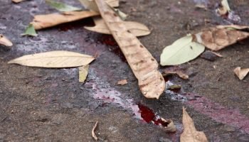 Local onde a vítima foi esfaqueada. — Foto: Local onde a vítima foi esfaqueada.