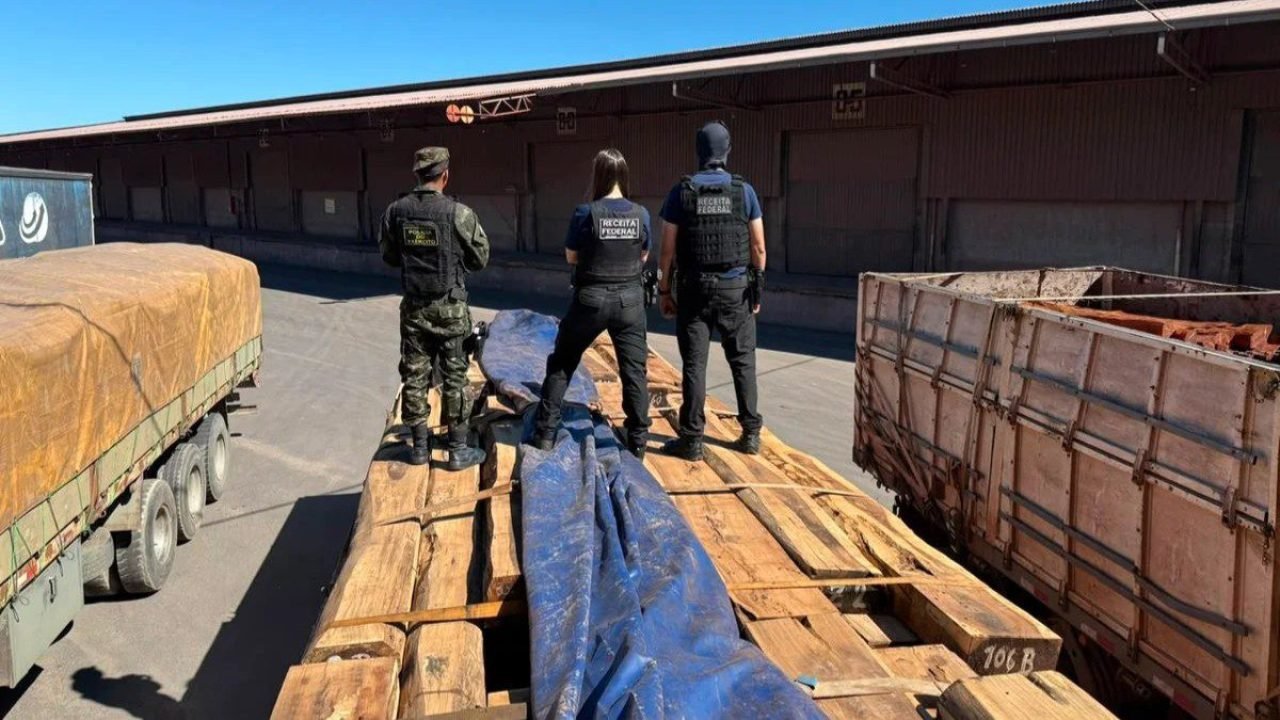 Carga de madeira que escondia cocaína. (Foto: Divulgação)