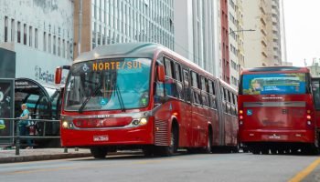 Isabella-Mayer-SECOM-scaled-1