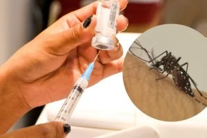 Vacina contra a dengue. (Arquivo Jornal Midiamax e Reprodução) — Foto: Vacina co