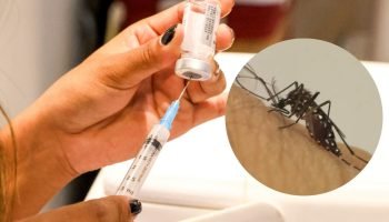 Vacina contra a dengue. (Arquivo Jornal Midiamax e Reprodução) — Foto: Vacina co