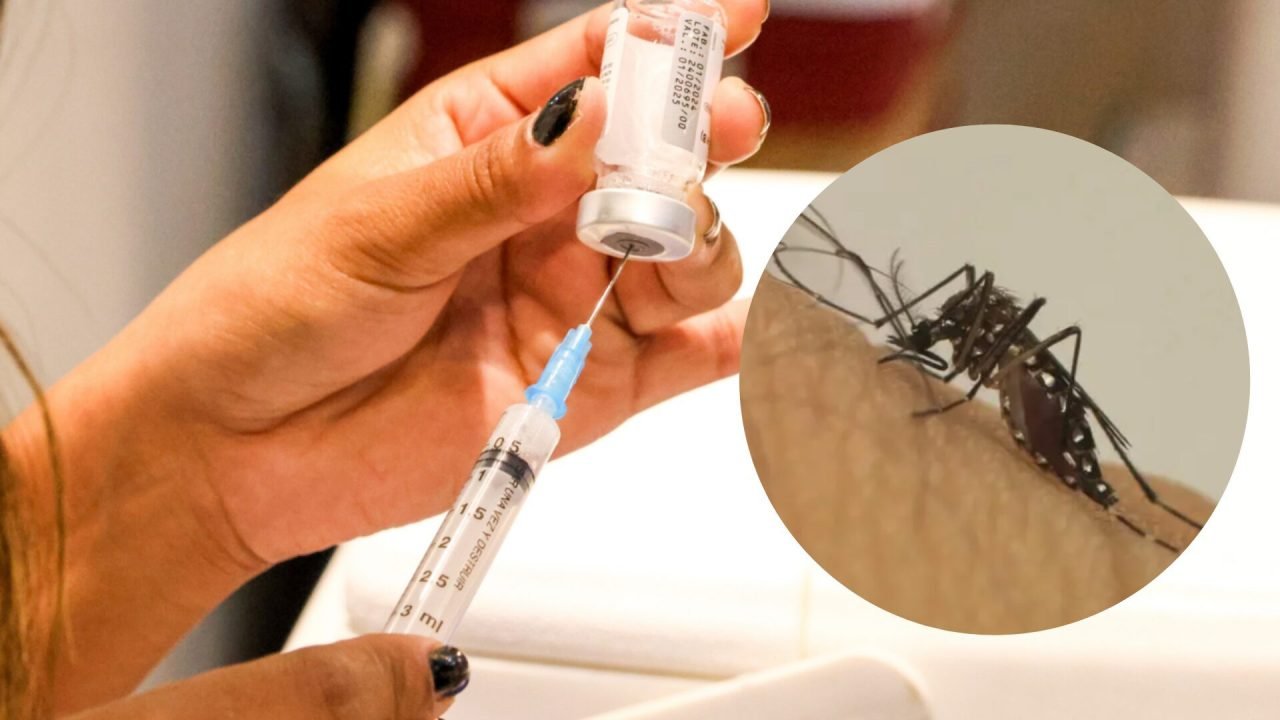 Vacina contra a dengue. (Arquivo Jornal Midiamax e Reprodução) — Foto: Vacina co