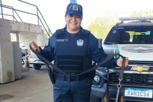 Foto: Marlene de Brito Rodrigues. (Reprodução, Redes Sociais)