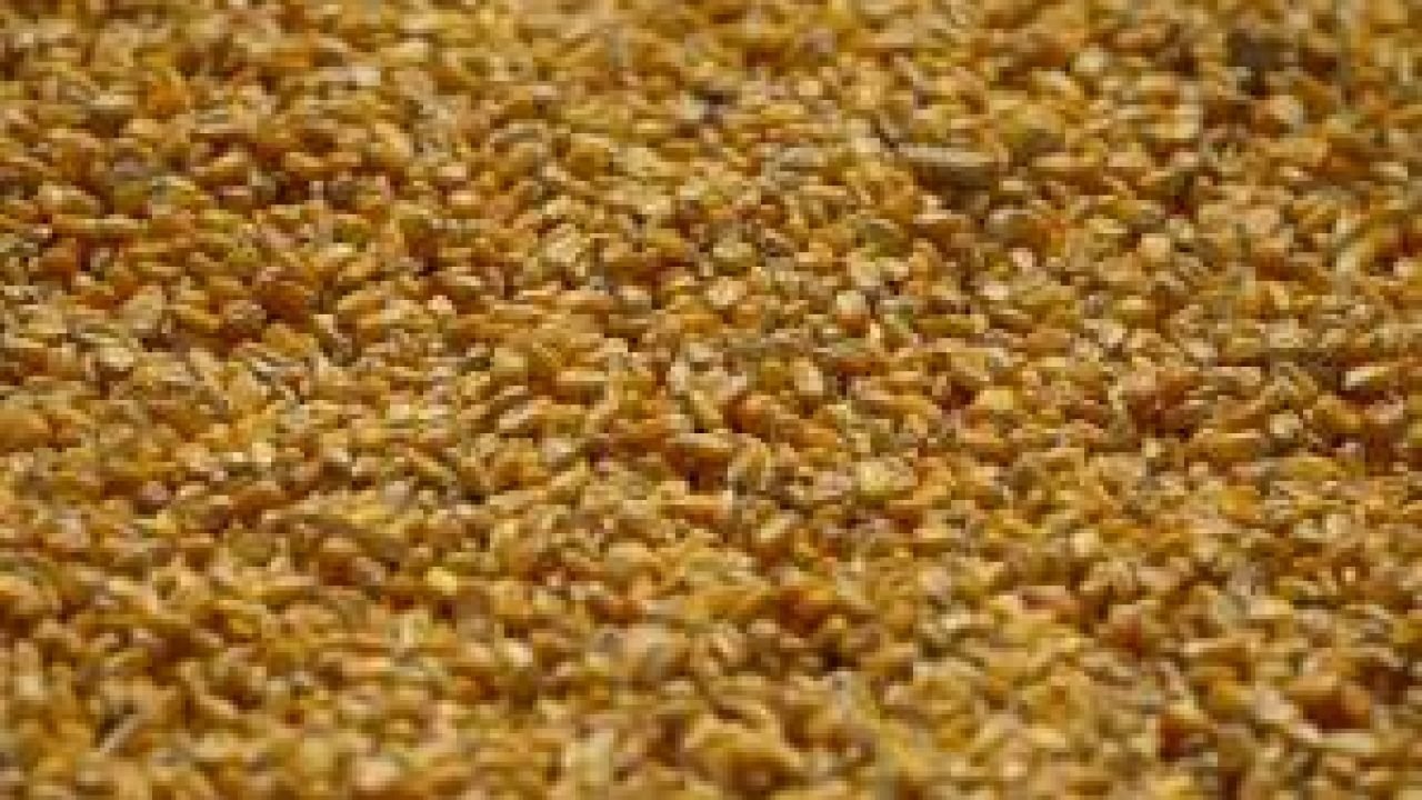 Estoques de milho dos EUA batem recorde em dezembro