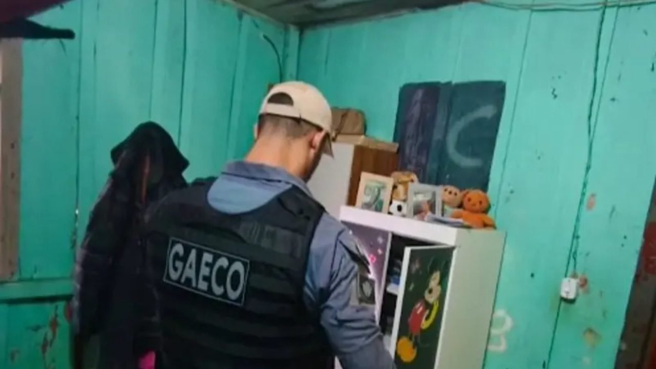 Foto: (Divulgação)