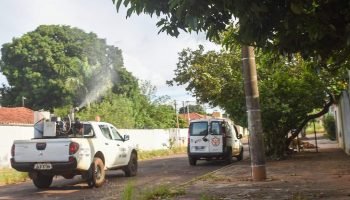 Fumacê. (Divulgação, PMCG) — Foto: Fumacê. (Divulgação, PMCG)