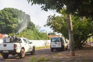 Fumacê. (Divulgação, PMCG) — Foto: Fumacê. (Divulgação, PMCG)
