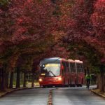 STJ-suspende-licitacao-transporte-Curitiba-Luiz-Costa-SMCS