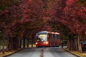 STJ-suspende-licitacao-transporte-Curitiba-Luiz-Costa-SMCS
